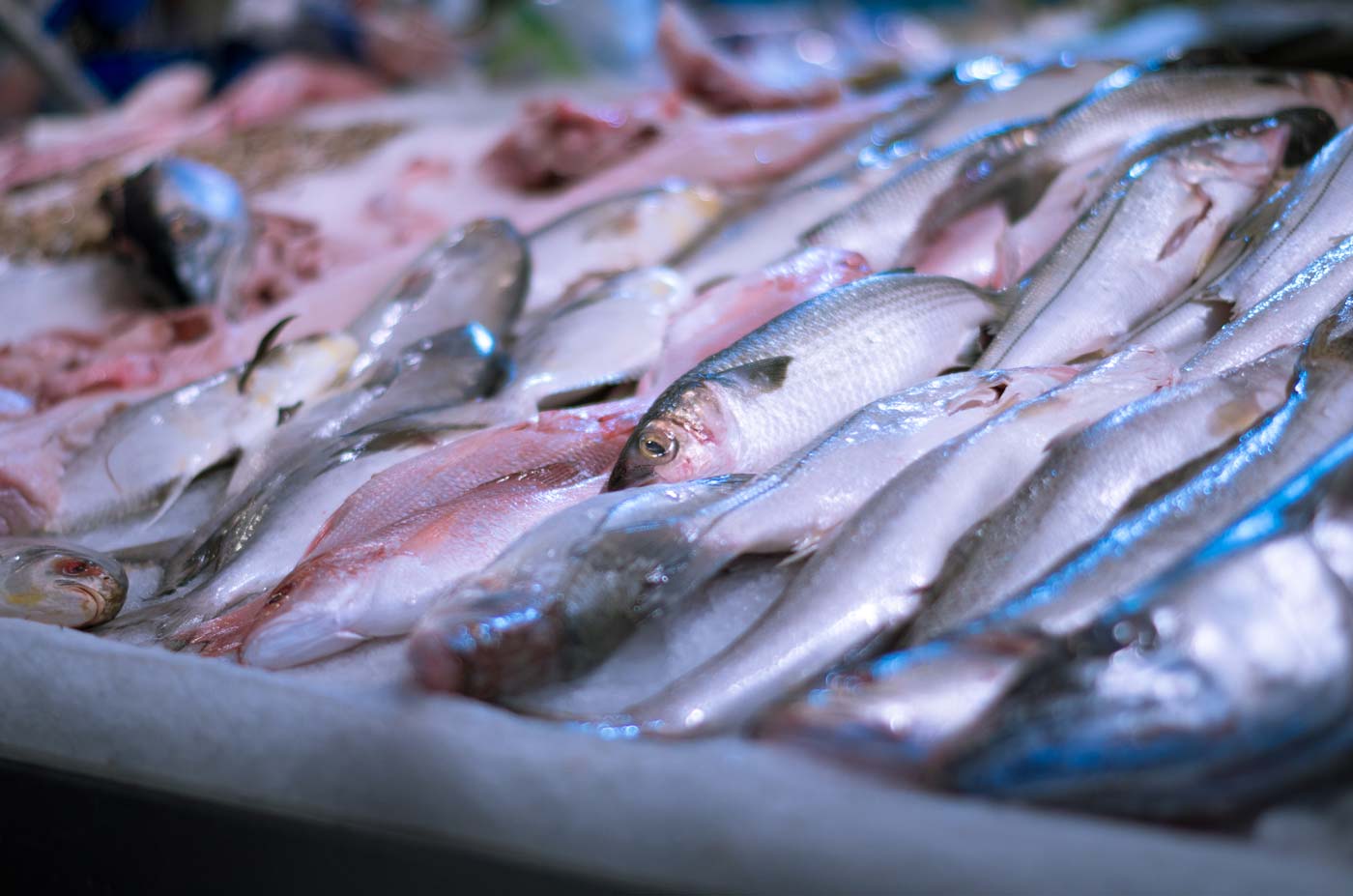 Detalle de pescados en un puesto de mercado